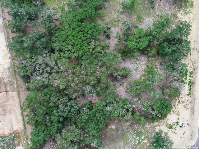 684 Travis Forest Dr, Bulverde, TX 78163