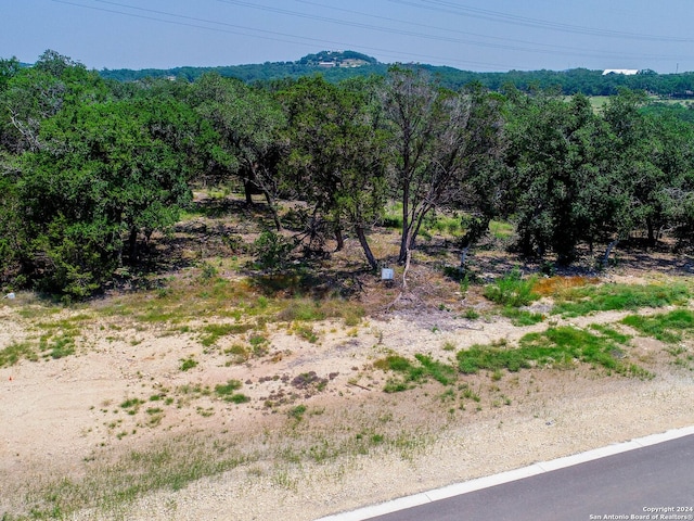 684 Travis Forest Dr, Bulverde, TX 78163