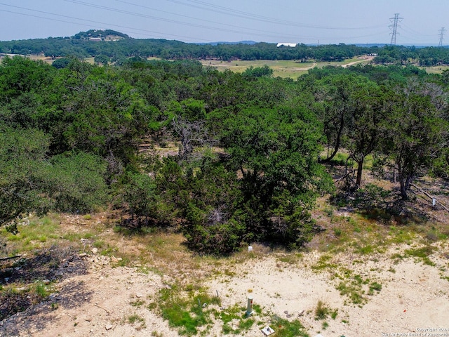 684 Travis Forest Dr, Bulverde, TX 78163