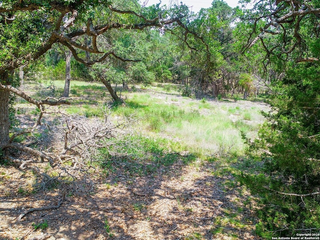 684 Travis Forest Dr, Bulverde, TX 78163
