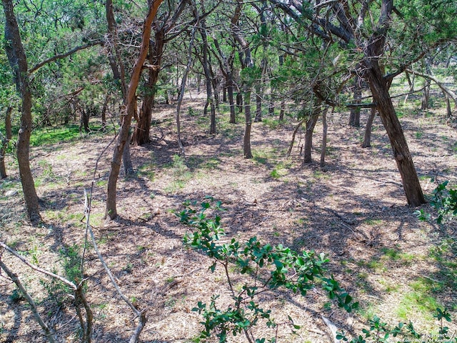 684 Travis Forest Dr, Bulverde, TX 78163