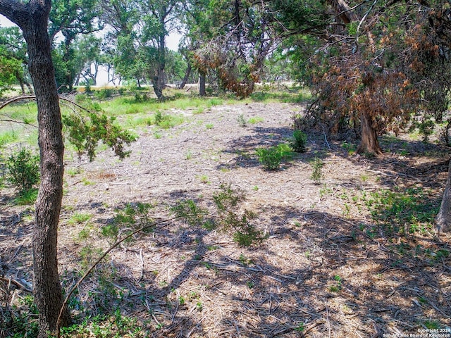 684 Travis Forest Dr, Bulverde, TX 78163