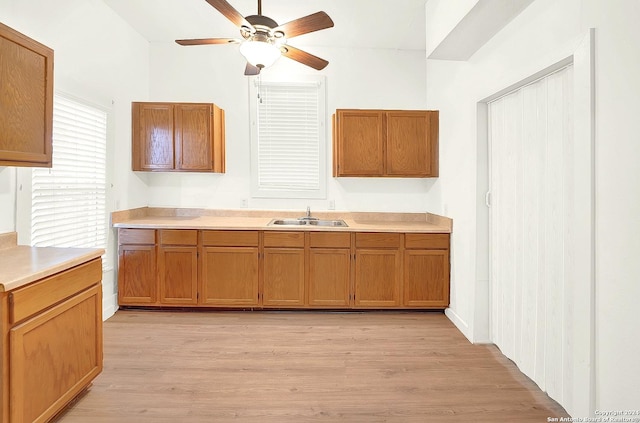 kitchen with ceiling fan, sink, and light hardwood / wood-style flooring