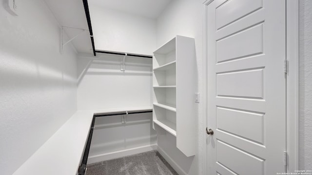 spacious closet featuring carpet floors