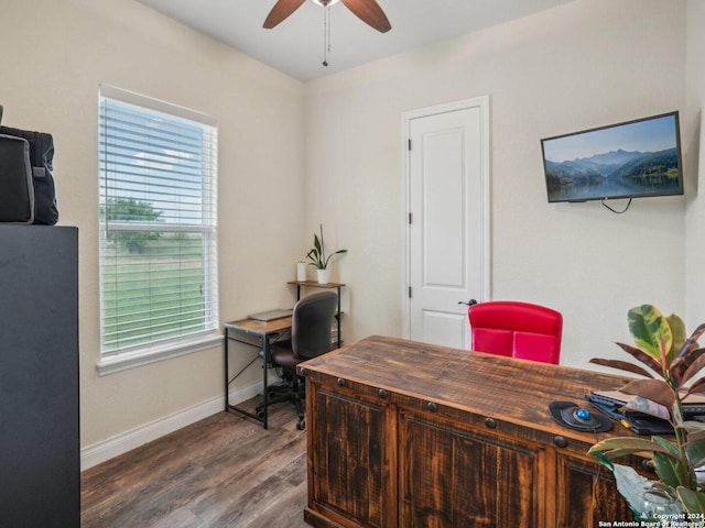7803 US Highway 181, Falls City, TX 78113 - office space with ceiling fan, wood finished floors, and baseboards