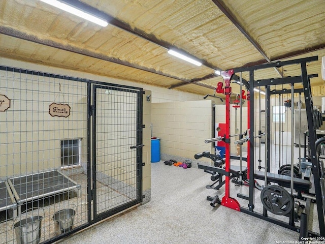 7803 US Highway 181, Falls City, TX 78113 - view of exercise area