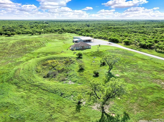 7803 US Highway 181, Falls City, TX 78113 - view from above of property featuring a forest