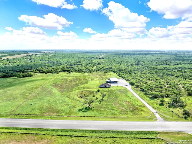 7803 US Highway 181, Falls City, TX 78113 - bird's eye view of a forest
