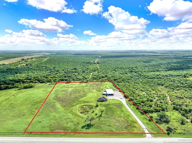7803 US Highway 181, Falls City, TX 78113 - view of rural area with property boundaries highlighted and a heavily wooded area