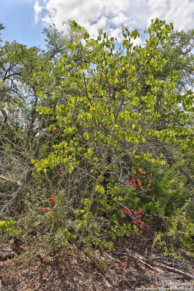 TRACTS4, 5 Rocky Top Rd, Hunt, TX 78024