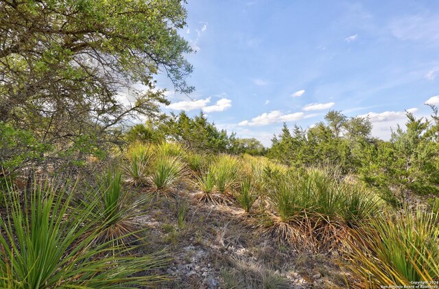 TRACTS4, 5 Rocky Top Rd, Hunt, TX 78024
