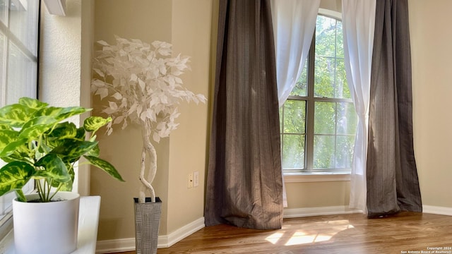 room details with hardwood / wood-style flooring