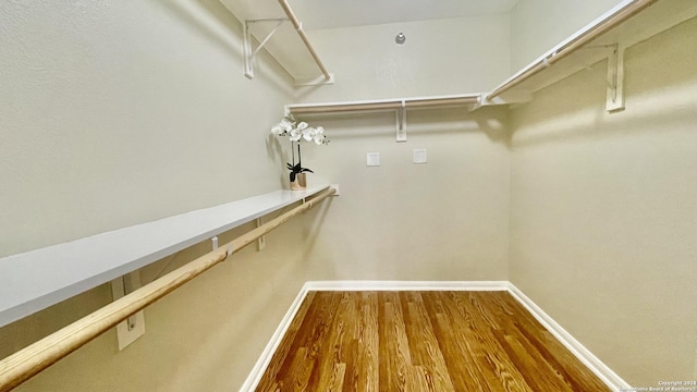 spacious closet featuring wood-type flooring