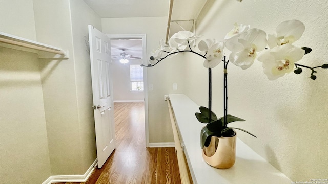 walk in closet featuring hardwood / wood-style flooring and ceiling fan