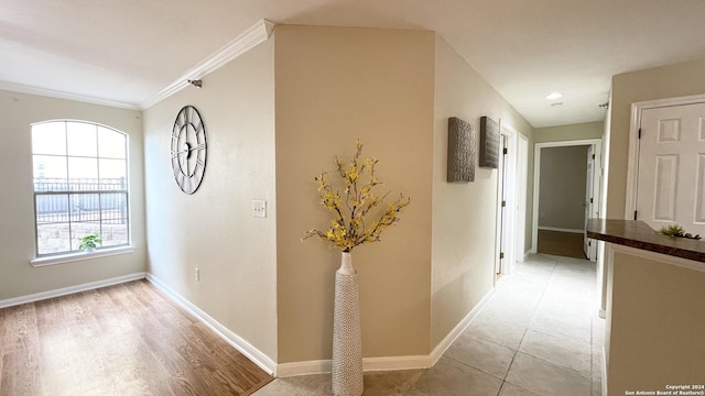 hallway with light hardwood / wood-style flooring and ornamental molding