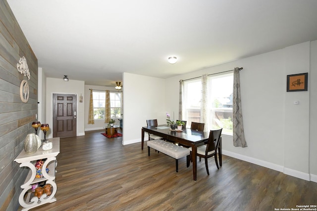 dining room with ceiling fan and dark hardwood / wood-style floors