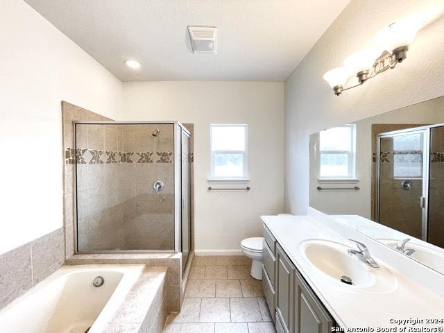 full bathroom featuring plenty of natural light, toilet, shower with separate bathtub, and vanity