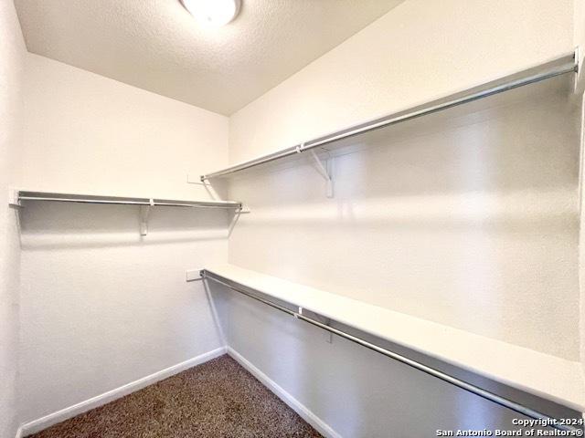 walk in closet with carpet floors