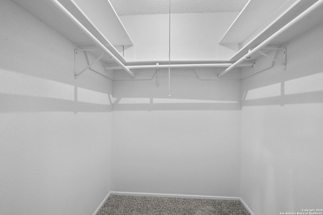 walk in closet featuring carpet flooring