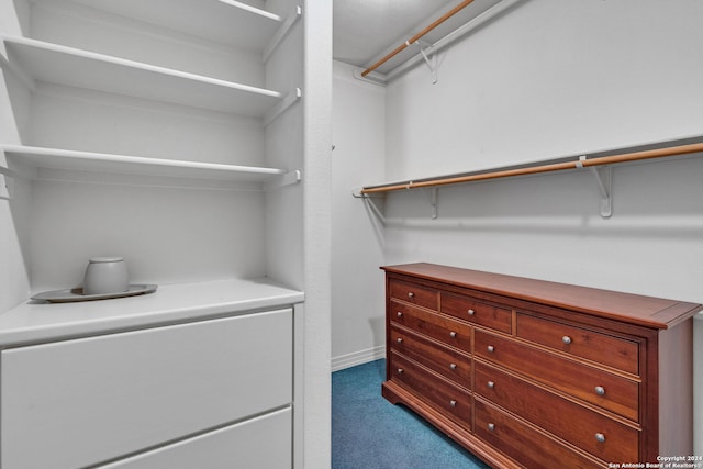 walk in closet with carpet floors