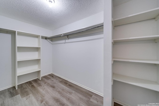 spacious closet with light wood-type flooring