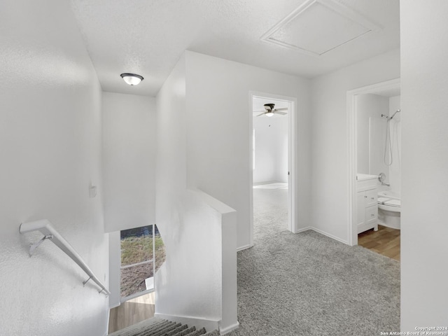 hall featuring light carpet and a textured ceiling