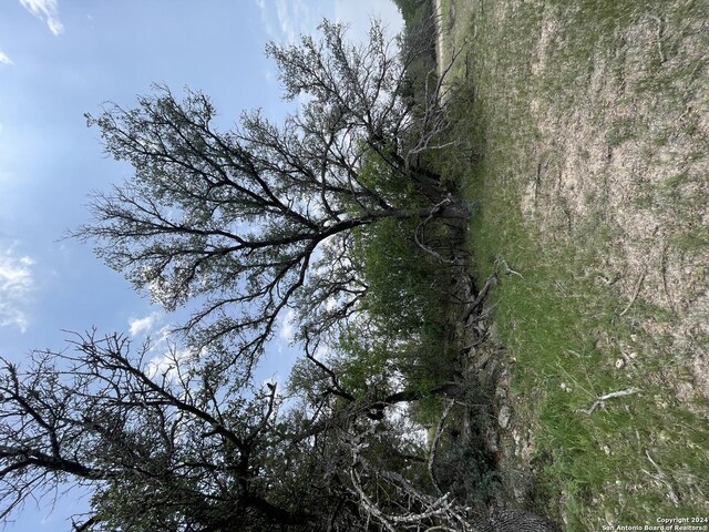 7305 Kc 261, Junction, TX 76849