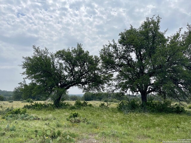7305 Kc 261, Junction, TX 76849