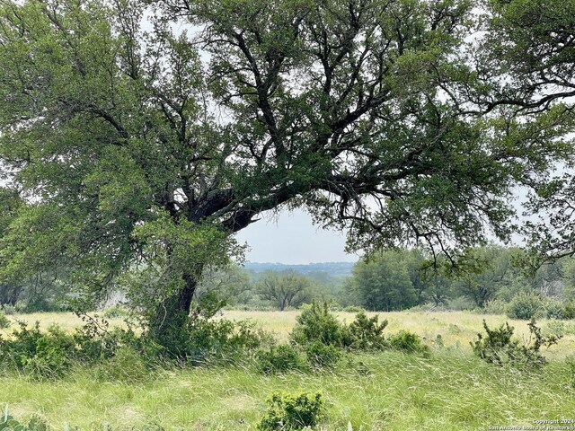 7305 Kc 261, Junction, TX 76849