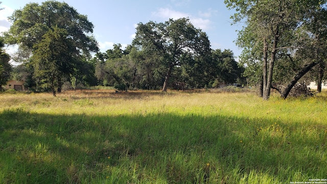 Listing photo 3 for 458 County Road 6868, Natalia TX 78059