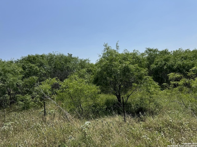 135 Steele Branch Ln, Stockdale TX, 78160 land for sale