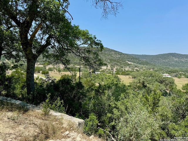 Listing photo 2 for 0 John Buchanan Rd, Leakey TX 78873