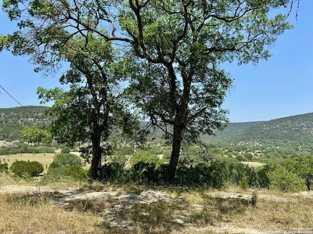 Listing photo 3 for 0 John Buchanan Rd, Leakey TX 78873