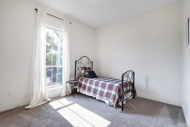 bedroom featuring carpet