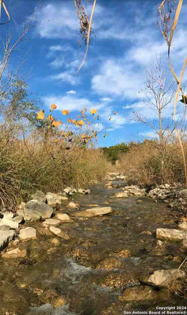 view of nature