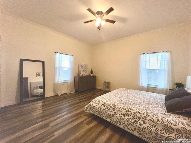 bedroom with multiple windows, crown molding, ceiling fan, and dark wood-type flooring