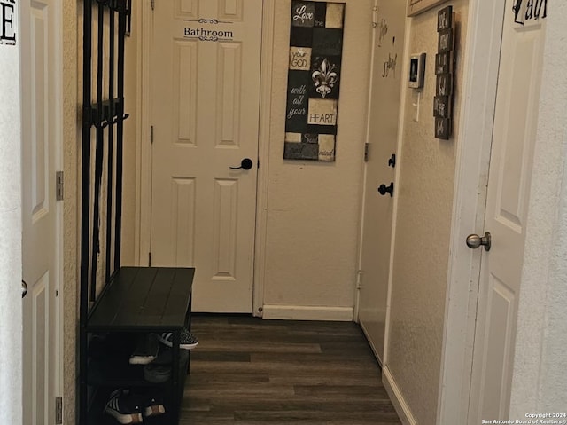 hall featuring dark wood-type flooring