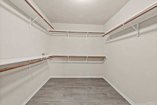 spacious closet with hardwood / wood-style flooring