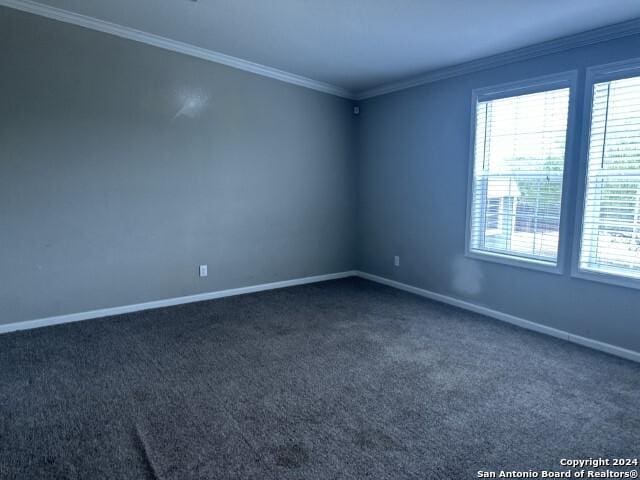 carpeted empty room featuring crown molding