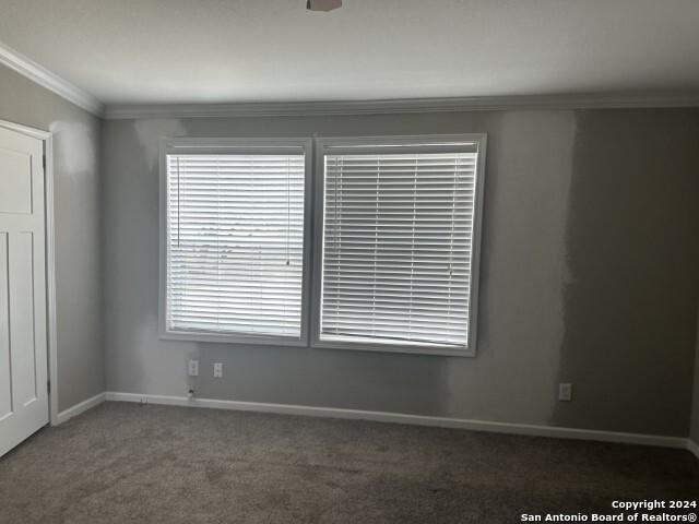 carpeted empty room with ceiling fan and ornamental molding