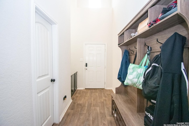 mudroom with hardwood / wood-style floors