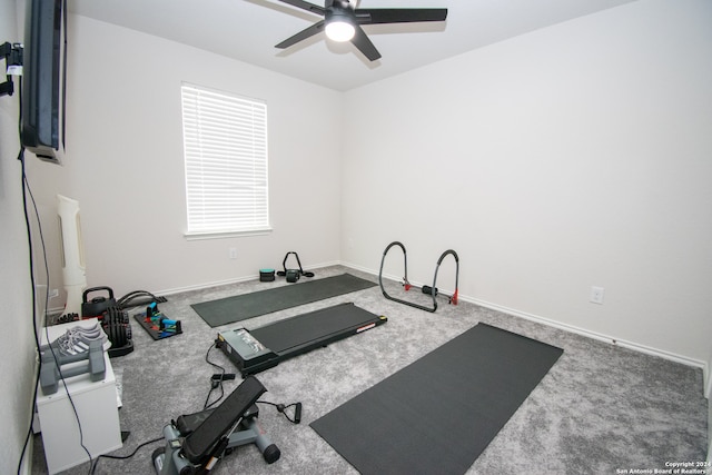 exercise room featuring carpet flooring and ceiling fan