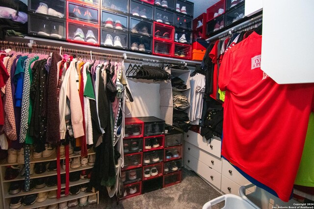 spacious closet with carpet