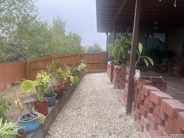 view of yard featuring a patio