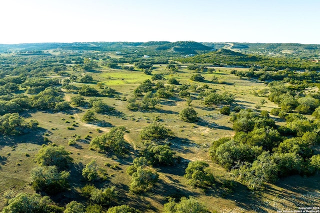 5548 N US Highway 281, Blanco TX, 78606 land for sale