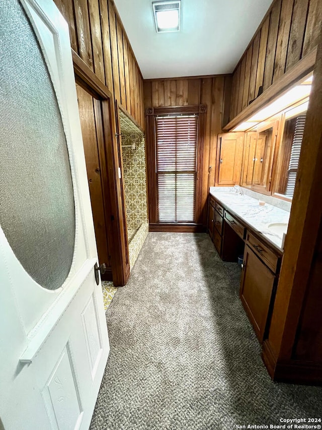 interior space featuring wooden walls and vanity