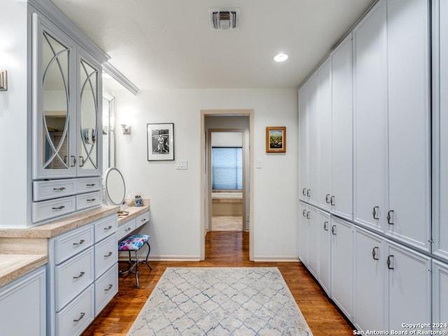 bathroom with wood-type flooring and vanity