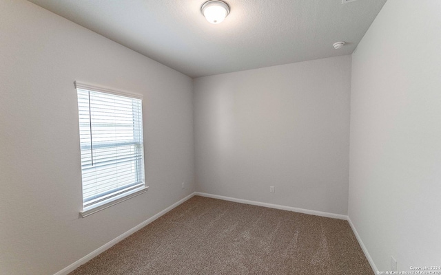 spare room featuring a wealth of natural light, lofted ceiling, and carpet floors