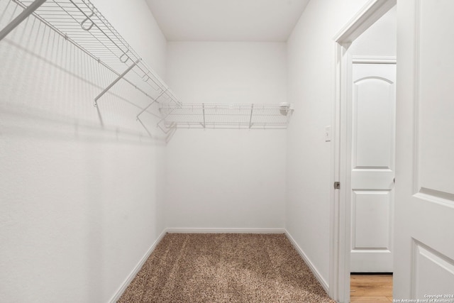 spacious closet with carpet floors