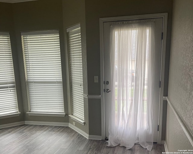 entryway with hardwood / wood-style floors